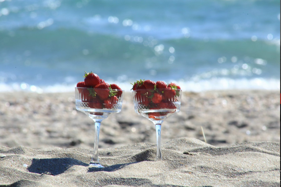 Отдых в июне в Крыму в Новофедоровке